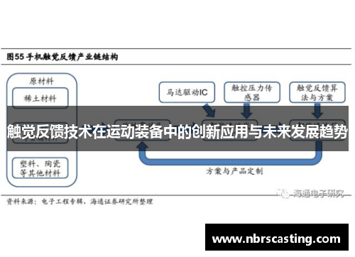 触觉反馈技术在运动装备中的创新应用与未来发展趋势
